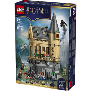 LEGO Harry Potter Hogwarts Castle: Hospital Wing 76463
